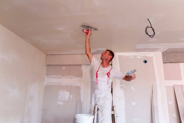 Best Residential Painting  in Ione, CA